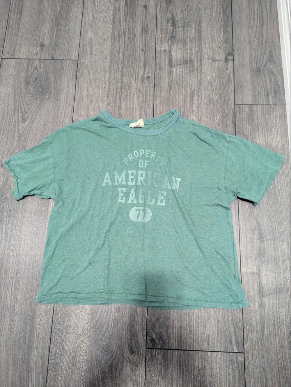 American Eagle Outfitters Vintage Vault Seafoam Green Graphic Short Sleeve Tee